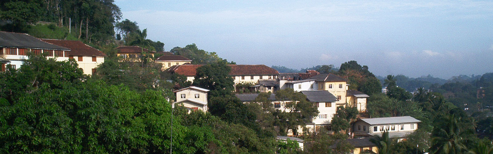 White and yellow buildings and dense trees covering a hillside.